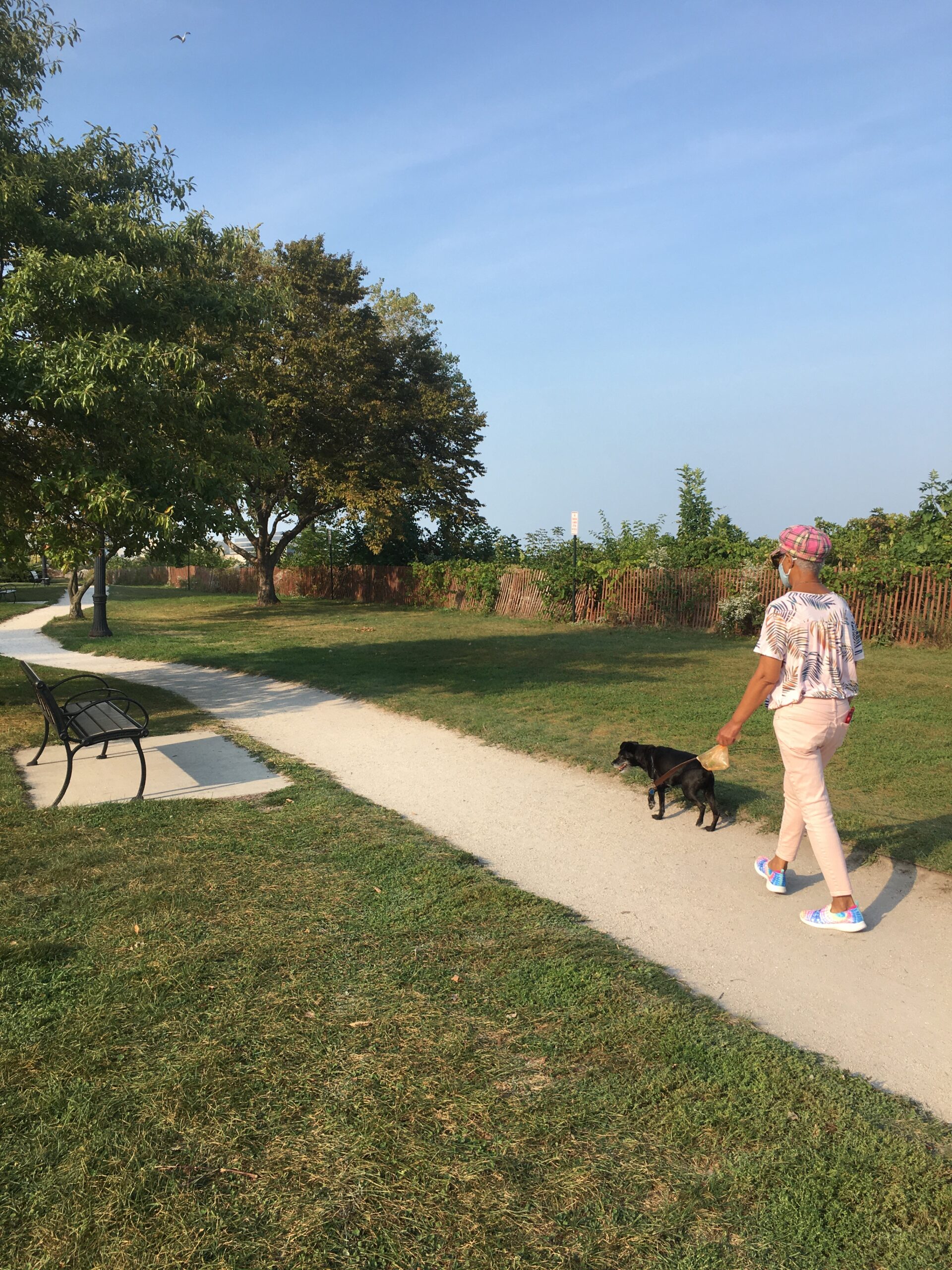 Lincoln Street Beach surfaces as possible dog park candidate