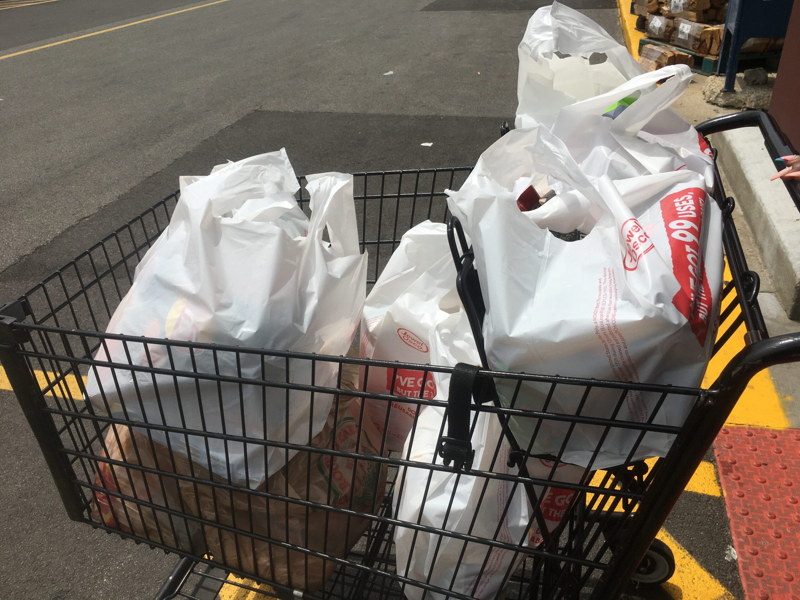Plastic bags could be out by at stores citywide by Aug. 1