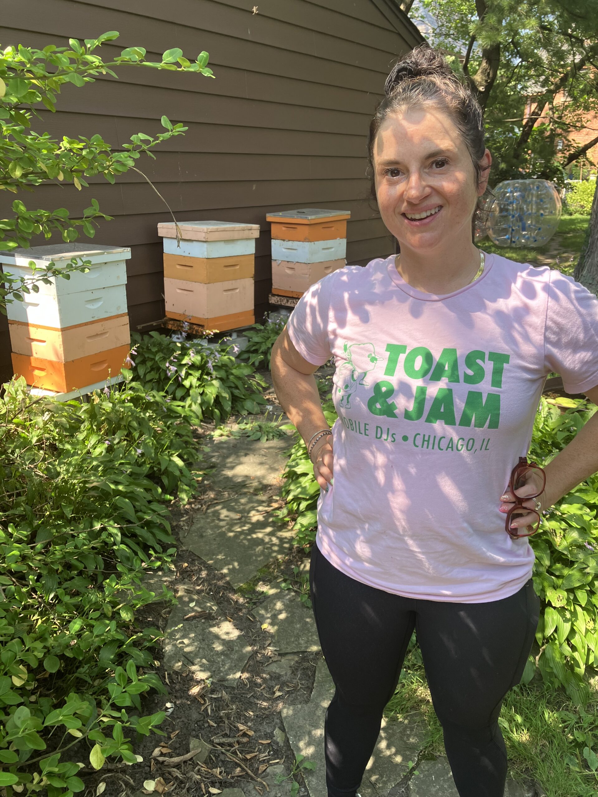 A neighbor’s bees are bugging an Evanston resident, so city seeks insect expert opinion